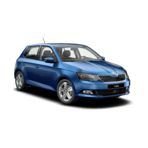 Выкуп битых запчастей Skoda Skoda Fabia