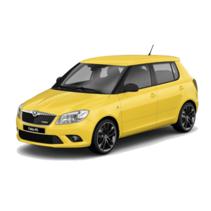 Выкуп битых запчастей Skoda Skoda Fabia RS