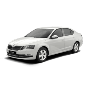 Выкуп битых запчастей Skoda Skoda Octavia