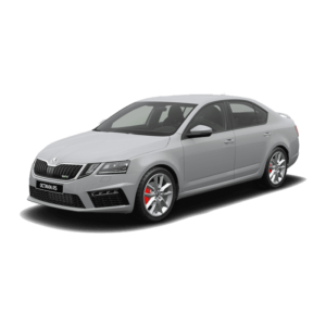 Выкуп битых запчастей Skoda Skoda Octavia RS